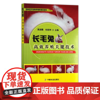 长毛兔高效养殖关键技术 29459 特种经济动物养殖致富直通车 兔子 獭兔 野兔 养殖技术 养殖科技