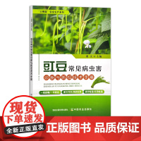 豇豆常见病虫害诊断与防控技术手册 29437 三棵菜”安全生产系列 蔬菜种植 病虫治防治 种植技术 豆类 豆角 长豆角