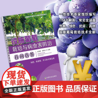 设施葡萄栽培与病虫害防治百问百答 9787109292345 设施园艺作物生产关键技术问答丛书