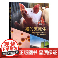 [正版]猪的支原体 28742 [比]多米尼克•梅斯[西班牙]玛丽娜•西比拉[美]玛利亚•皮特斯 猪病 兽医