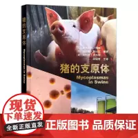 [正版]猪的支原体 28742 [比]多米尼克•梅斯[西班牙]玛丽娜•西比拉[美]玛利亚•皮特斯 猪病 兽医