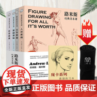路米斯经典美术课全集 人体素描/头手素描/素描基础/创意插画 画家之眼画家之眼跟随大师探寻美的十二要素绘画初学者启蒙绘画