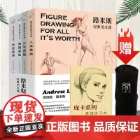 路米斯经典美术课全集 人体素描/头手素描/素描基础/创意插画 画家之眼画家之眼跟随大师探寻美的十二要素绘画初学者启蒙绘画