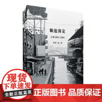 银盐落定——上海2001-2010 寻找20世纪初的上海故事