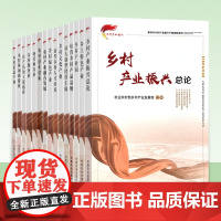 [正版]新时代乡村产业振兴干部读物系列 乡村休闲旅游业 乡村休闲旅游业 现代种养业 乡村绿色产业 新型乡村人才培养