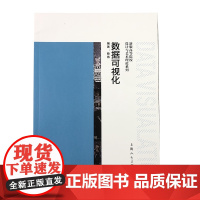 数据可视化 新版高等院校设计与艺术理论系列 上海人民美术出版社