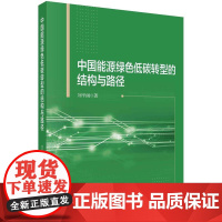 [按需印刷] 中国能源绿色低碳转型的结构与路径