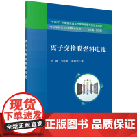 [按需印刷] 离子交换膜燃料电池