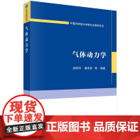 [按需印刷] 气体动力学