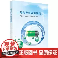 [按需印刷] 电化学与电池储能