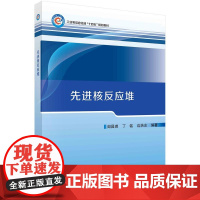 [按需印刷]先进核反应堆