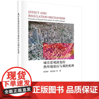 [按需印刷] 城市景观演变的热环境效应与调控机理