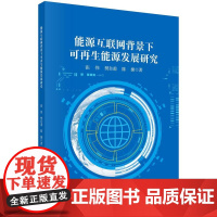 [按需印刷] 能源互联网背景下可再生能源发展研究