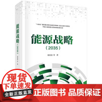 [按需印刷] 能源战略(2035)