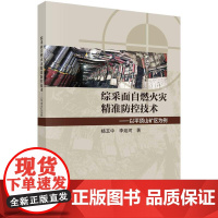 [按需印刷] 综采面自燃火灾精准防控技术——以平顶山矿区为例