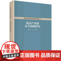 [按需印刷]我国产业链安全战略研究