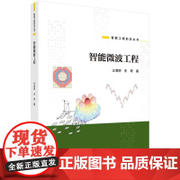 [按需印刷] 智能微波工程