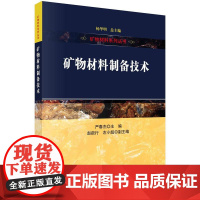 [按需印刷] 矿物材料制备技术