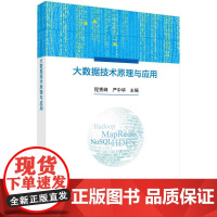 [按需印刷]大数据技术原理与应用