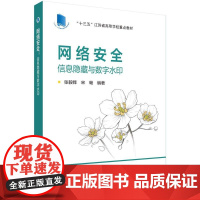 [按需印刷] 网络安全:信息隐藏与数字水印
