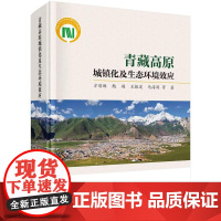 [按需印刷] 青藏高原城镇化及生态环境效应