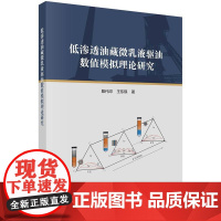 [按需印刷] 低渗透油藏微乳液驱油数值模拟理论研究