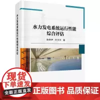 [按需印刷] 水力发电系统运行性能综合评估