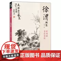 经典全集 徐渭画集 8开中国画临摹画册书籍写意泼墨水墨国画杂花图花鸟技法教材程高清临本册页 初学者花卉名作赏析鉴赏杨建飞