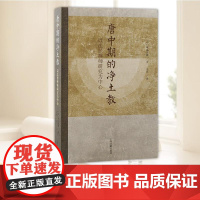 唐中期的净土教:以法照禅师研究为中心 上海古籍出版社