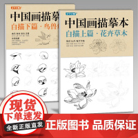 [送笔墨碟]中国画描摹本工笔画上下2册/基础训练篇+强化提高篇