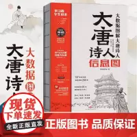 大唐诗人信息图⭐青铜菩萨蛮著大数据图解大唐诗人唐朝李白杜甫骆宾王李商隐孟浩然王维王勃等人生境遇传记科普百科图书天地出版社
