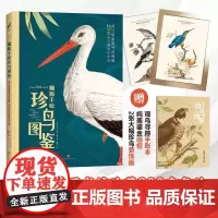 雕版手绘珍鸟图鉴(荷兰皇家图书馆珍藏200多年的“国家级”古画)观鸟系列科普天地社