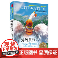 骑鹅旅行记/国际大奖儿童文学7-14岁阅读天地出版社