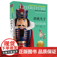 胡桃夹子/国际大奖儿童文学7-14岁阅读天地出版社