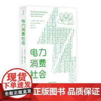 电力消费社会 薄荷实验 电力市场 插座背后的经济学 人类学民族志 华东师范大学出版社
