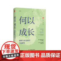 何以成长:教师专业发展的7项修炼 大夏书系 教师专业发展 吴春来 一线教师 学习型教师 专家型教师 华东师范大学出版社
