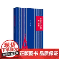 王安忆小说在法国 王安忆作品在法国译介和传播 文学理论 华东师范大学出版社