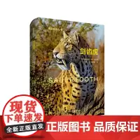 剑齿虎 Sabertooth 史前生命丛书 古生物学普及读物 彩图精装 华东师范大学出版社