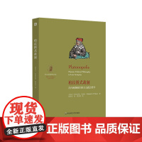 柏拉图式政制 古代晚期柏拉图主义政治哲学 望江柏拉图研究论丛 重构新柏拉图主义政治哲学奠基之作 正版 华东师范大学出版社