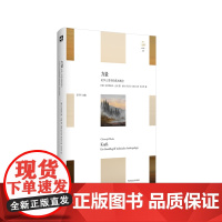 力量 美学人类学的基本概念 美学 哲学 六点图书 轻与重文丛 克里斯托弗·孟柯 著 华东师范大学出版社 正版