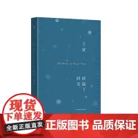 低温下的美 王寅诗歌集 摄影 正版 华东师范大学出版社
