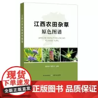 江西农田杂草原色图谱 黄向阳 舒宽义 大田 草 草害 除草 29536