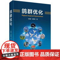 [按需印刷] 鸽群优化