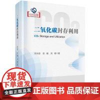[按需印刷]二氧化碳封存利用