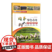 肉羊绿色高效养殖技术 30837-4 刘巧霞 程俐芬 杨文平 刘田勇