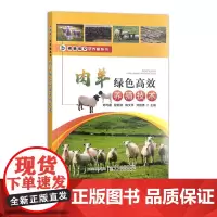 肉羊绿色高效养殖技术 30837-4 刘巧霞 程俐芬 杨文平 刘田勇