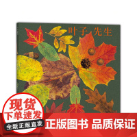 叶子先生 艺术绘本 秋天 落叶 大自然 手工创作 手工作业 凯迪克大奖得主 美国国家户外图书奖 美国《儿童》杂志