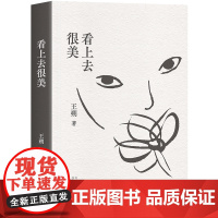 看上去很美(王朔长篇小说全*新再版。什么是真实?真实就是一笔糊涂账。)