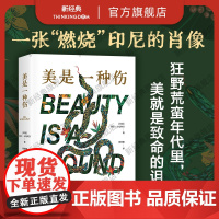 美是一种伤 魔幻现实主义惊艳新星 东南亚版《百年孤独》狂野荒蛮年代里 美就是致命的诅咒 丰乳肥臀黄锦树雨 新经典正版图书