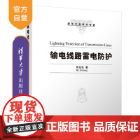 [正版新书] 输电线路雷电防护 何金良 清华大学出版社 输电线路;雷电防护;雷击物理过程;线路避雷器;线路